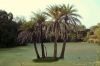 701786_an_oasis
