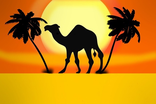 camel-1055111 640